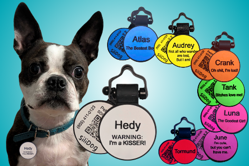 Dog with various colorful pet tags featuring different names and messages on a blue background