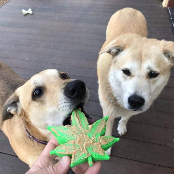 Colorado Maple Leaf Durable Nylon Dog Chew Toy