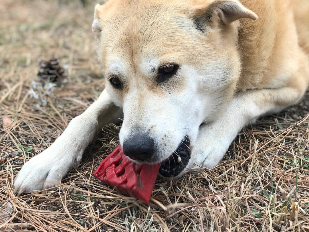 Cherry Pie Ultra Durable Nylon Dog Chew Toy and Treat Holder