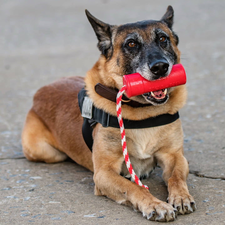 USA-K9 Firecracker Durable Rubber Floating Training Dummy - Large - Red