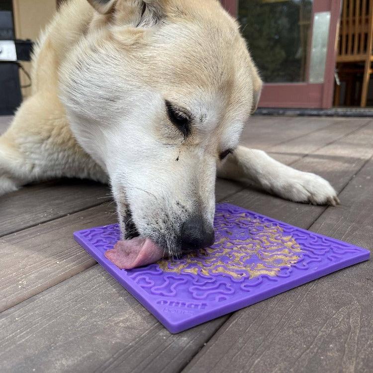 Bones Design eMat Enrichment Lick Mat