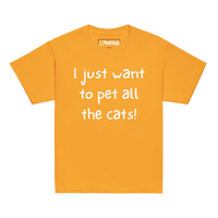 I Just Want to Pet All the Cats! - Youth T-Shirt